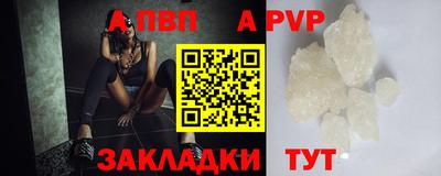 крисы Малгобек
