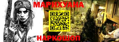 крисы Малгобек