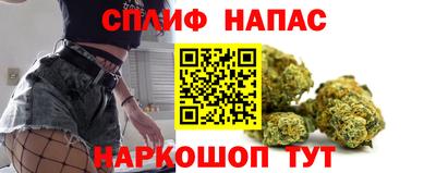 крисы Малгобек