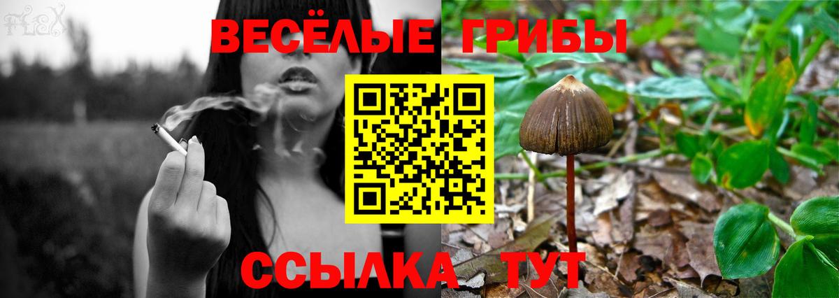 Псилоцибиновые грибы ЛСД Королёв